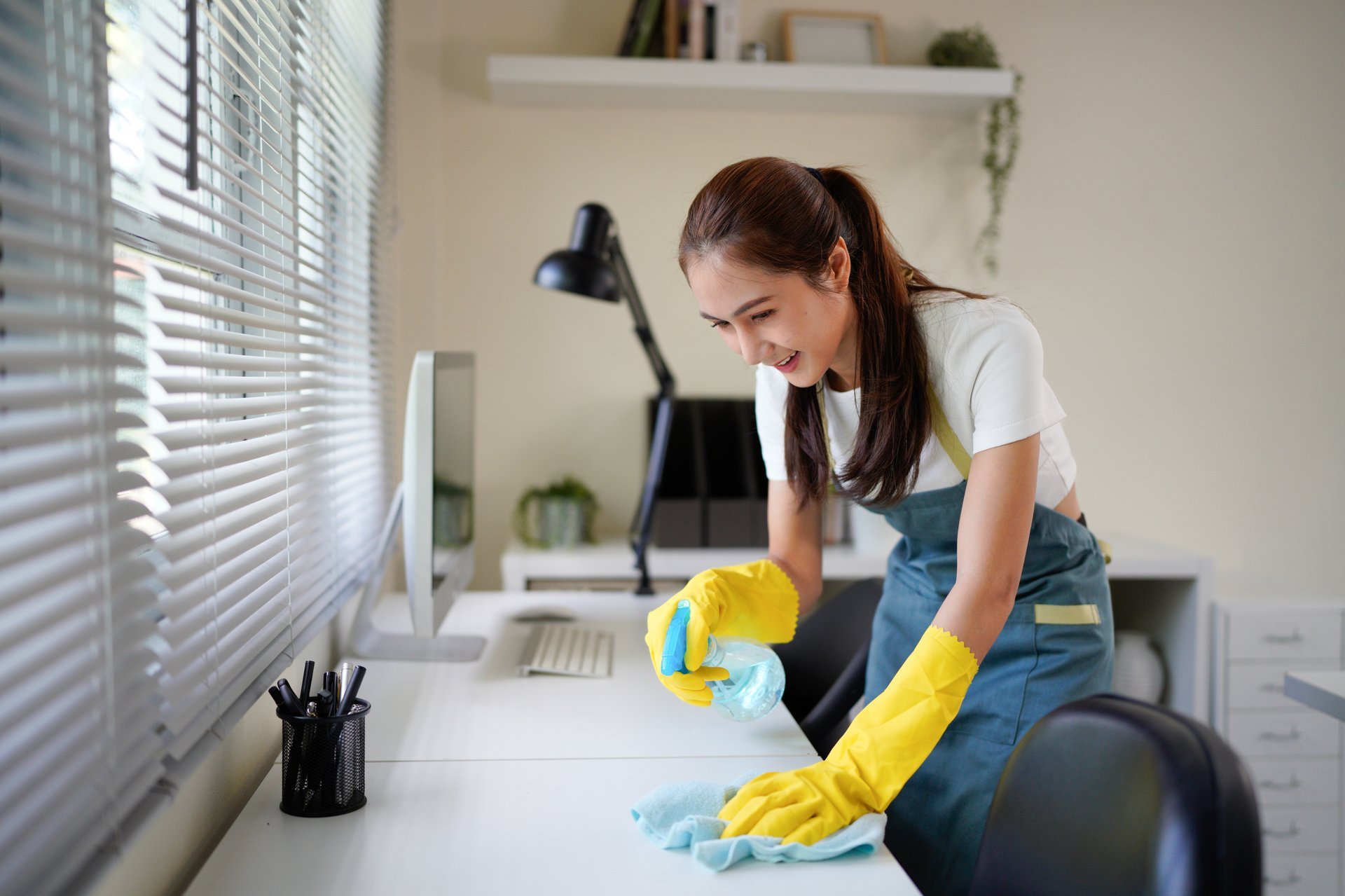 Professional cleaning service
